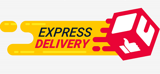 DHL Express OMR Siruseri